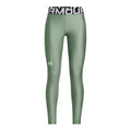 HeatGear® Leggings