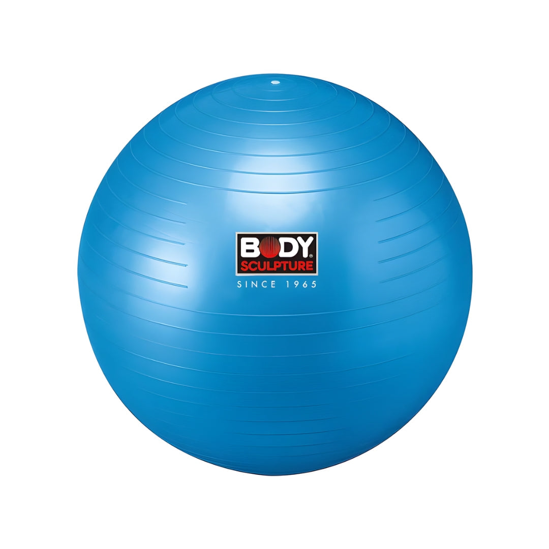 Gym Ball / Swiss Ball (65Cm)