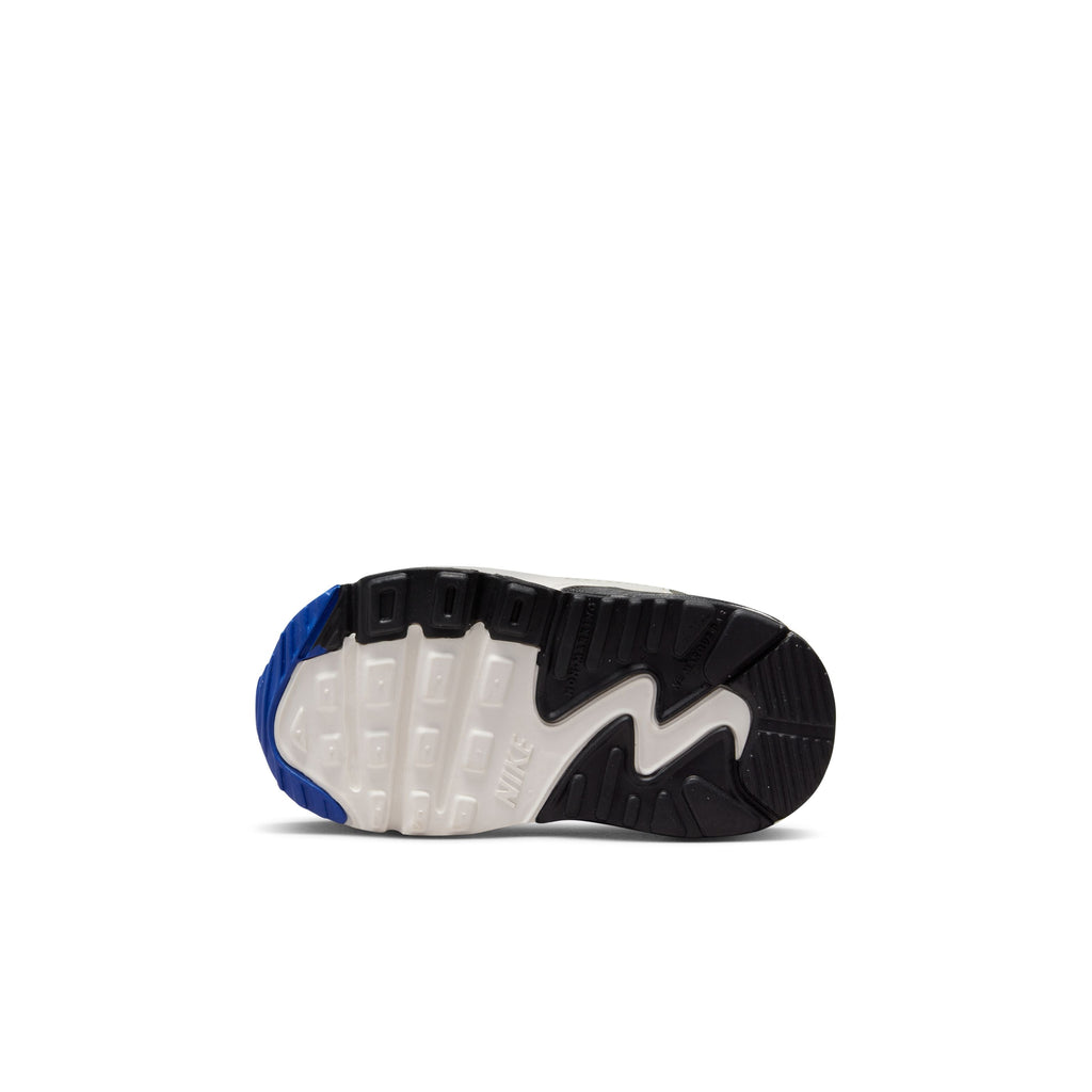 Air Max 90 EasyOn Lifestyle Shoes