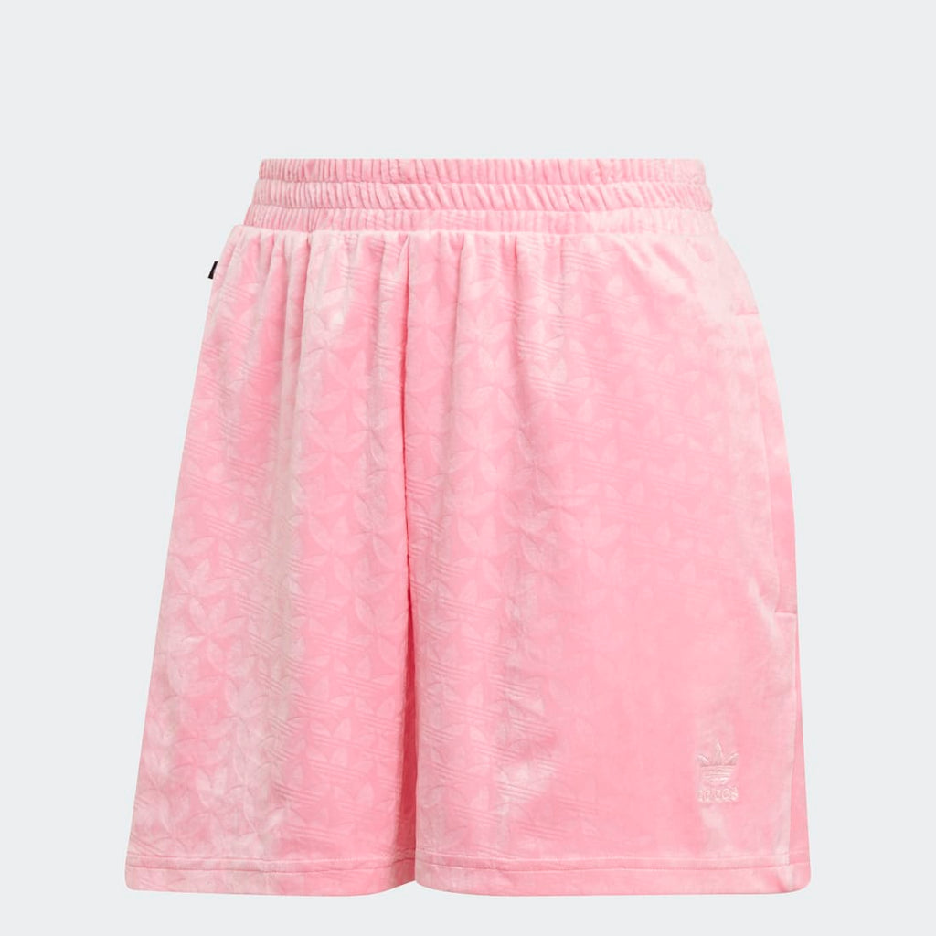 Velvet Shorts