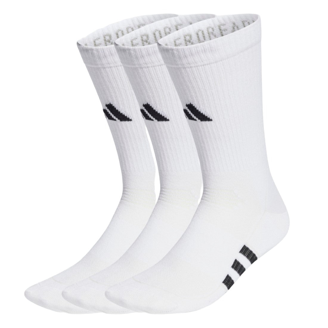 Performance Light Crew Socks 3 Pairs