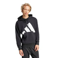 Essentials Big Logo French Terry Hoodie