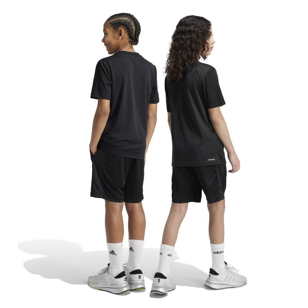 Train Essentials Logo Regular Fit T-Shirt