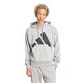 Essentials Big Logo French Terry Hoodie