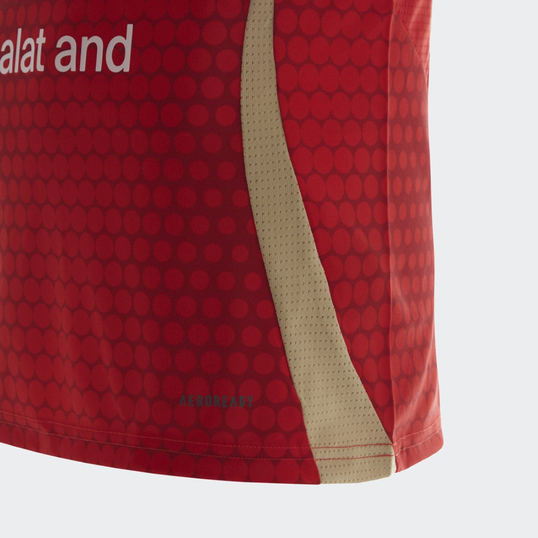 Al Ahly Home Jersey